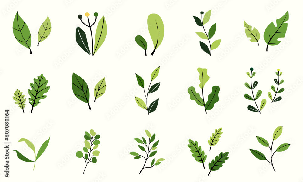 Vector design elements collection of fern green forest, green uca green green art leaves natural herb in silhouette beauty decoration elegant illustration for design. Vector design elements collection of fern green forest, green uca green green art leaves natural herb in silhouette beauty decoration elegant illustration for design.