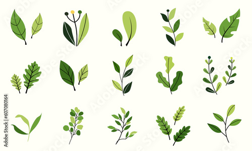 Vector design elements collection of fern green forest, green uca green green art leaves natural herb in silhouette beauty decoration elegant illustration for design.