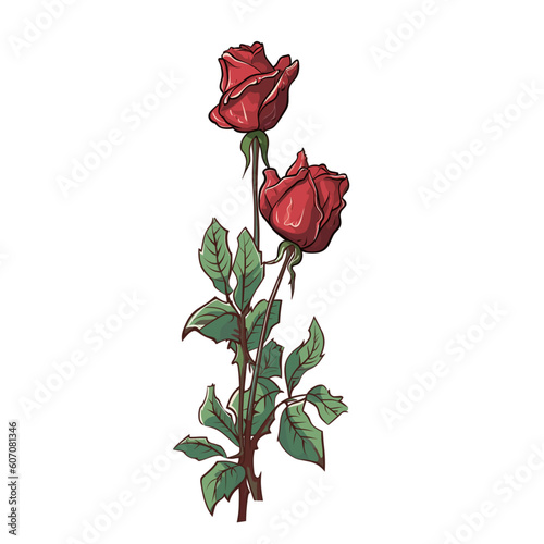 red rose illustration vector isolated in white 