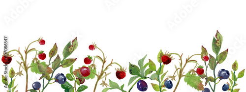 Wallpaper Mural set of wild berries on a white background. Torontodigital.ca