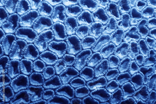 coral texture underwater background reef abstract sea © kichigin19
