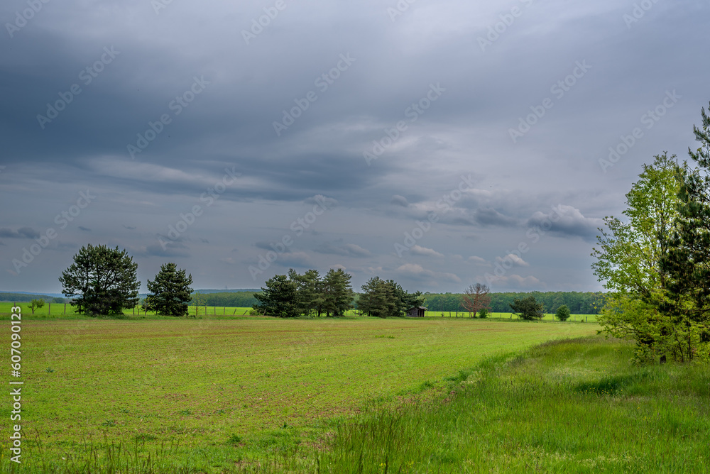 Landscape. Beautiful natural panoramic countryside landscape. Landscape. Beautiful natural panoramic countryside landscape.