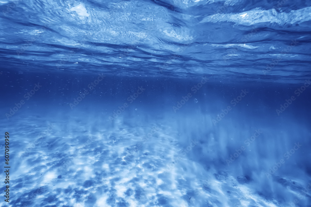 underwater photo blue background panorama ocean surface and bottom of the sea