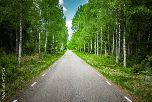 Landstrasse durch einen Laubwald im Sommer
