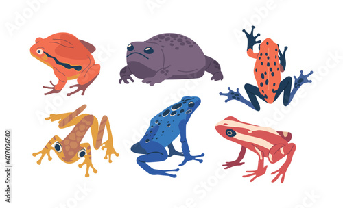 Set Of Exotic Frogs, Colorful Tropical Amphibians Showcasing A Variety Of Vibrant Colors, Patterns, And Unique Features photo
