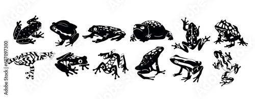 Exotic Frogs Black And White Icons, Representing The Unique Beauty Of These Amphibians With Minimalistic Elegance