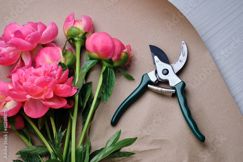 Flower pruner and a bunch of pink peonies close-up on craft paper. Concept for florists. Collect a bouquet of flowers