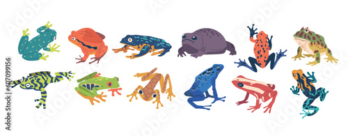 Collection Of Exotic Frogs Showcasing Vibrant Colors  Unique Patterns  And Diverse Species. Beautiful Tropical Animals