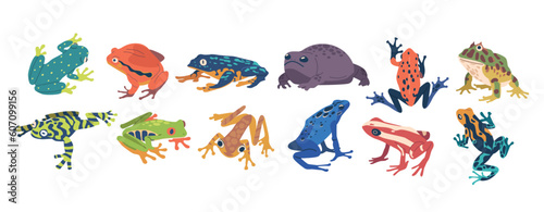Collection Of Exotic Frogs Showcasing Vibrant Colors, Unique Patterns, And Diverse Species. Beautiful Tropical Animals