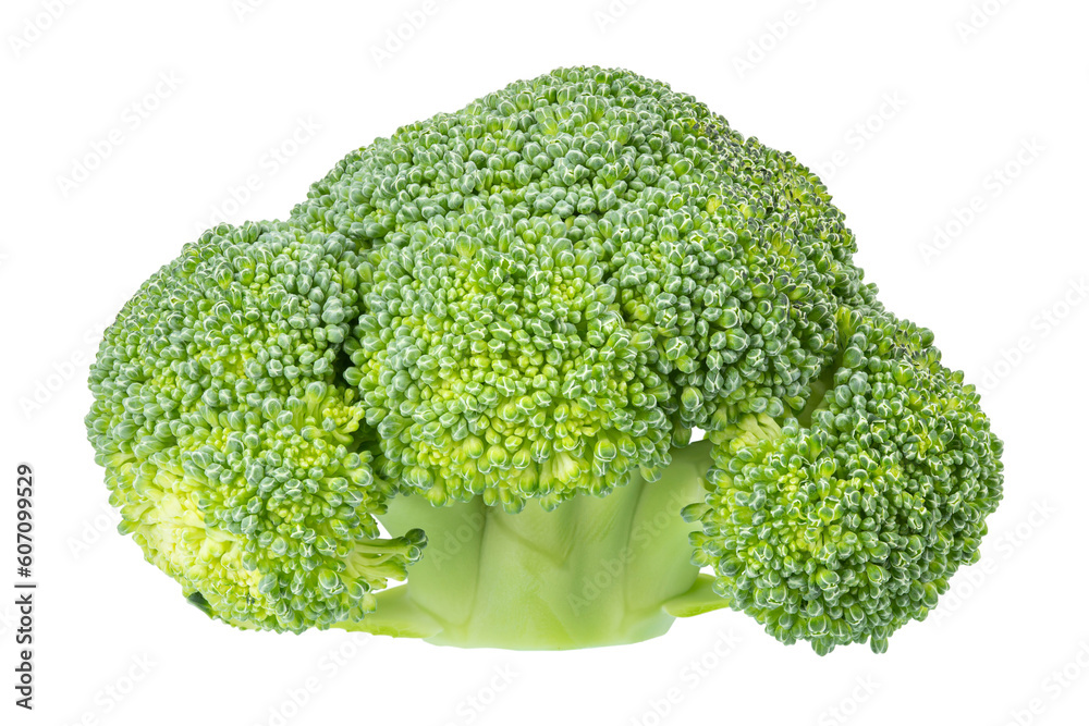 Fresh broccoli inflorescence isolated on white background