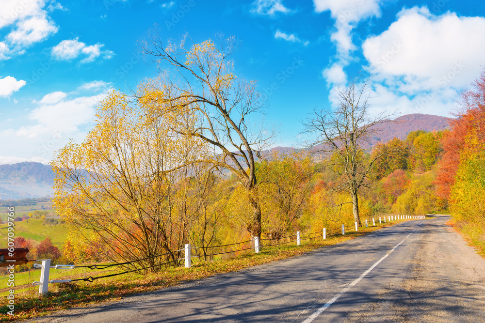 countryside road in autumn. mountainous scenery on a warm sunny day. forest along the way in colorful foliage. explore rural outskirts of transcarpathia