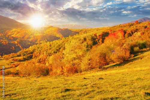 Fototapeta Naklejka Na Ścianę i Meble -  beautiful autumn mountain landscape at sunset. colorful scenery with trees in fall foliage on the hills and meadows in evening light. beauty in nature concept