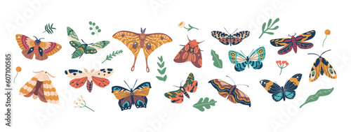 Graceful Winged Insects, Butterflies Are Known For Their Vibrant Colors And Delicate Patterns, Vector Illustration © Pavlo Syvak