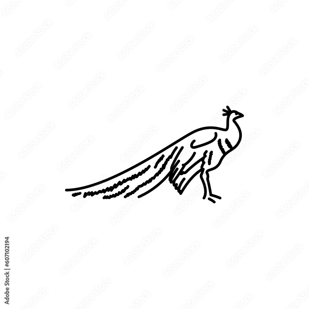 Obraz premium Indian peacock black line icon.