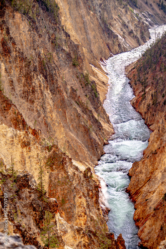 Lower Falls of the Yellowstone from Artist Point