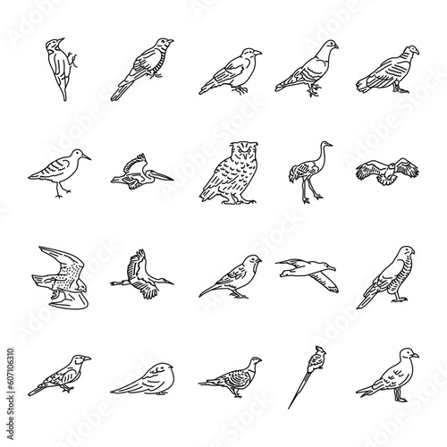Birds black line icons set. © Backwoodsdesign
