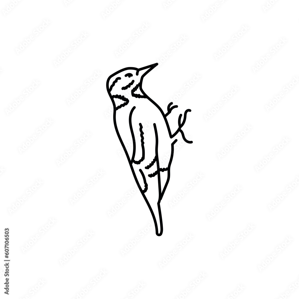 Fototapeta premium Woodpecker bird black line icon.