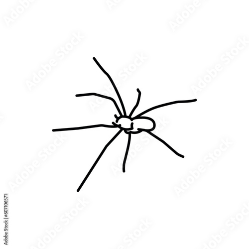 Brown recluse spider black line icon.
