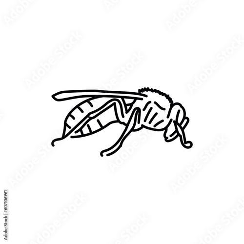 Hornet black line icon.