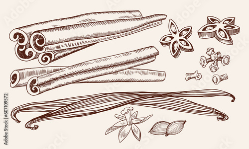 Set of spices. Isolated vanilla flower, dried vanilla sticks, cinnamon, cardamom, anise, cloves. Linear illustration. Sketch style. Ingredient for baking