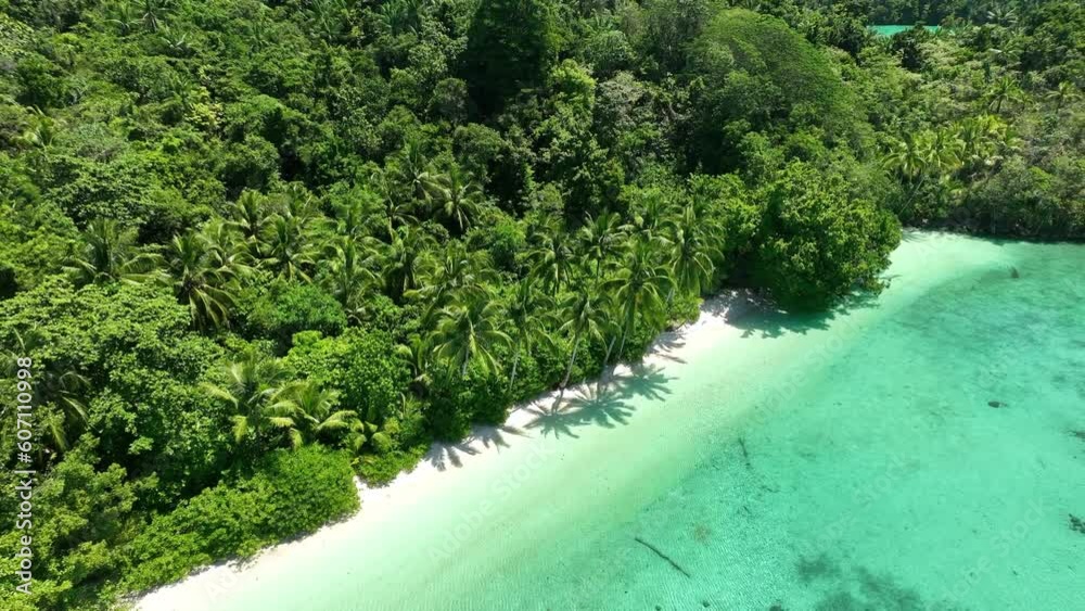 Palm trees and other lush vegetation fringes a remote beach on an idyllic island off the coast of West Papua, Indonesia. This tropical region harbors extraordinary terrestrial and marine biodiversity.