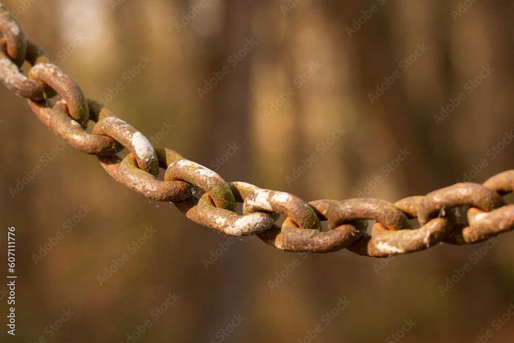 Rusty chain in nature: a weathered relic, worn links entangled with vibrant foliage. Time's decay reveals a poignant beauty. Rusty chain in nature: a weathered relic, worn links entangled with vibrant foliage. Time's decay reveals a poignant beauty.