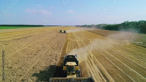 Aerial view of farm machines harvesting ripe crops in the golden field in gathering season. Agricultural landscape