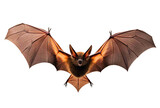Bat png, transparent background, flying, isolated, hd, generative ai