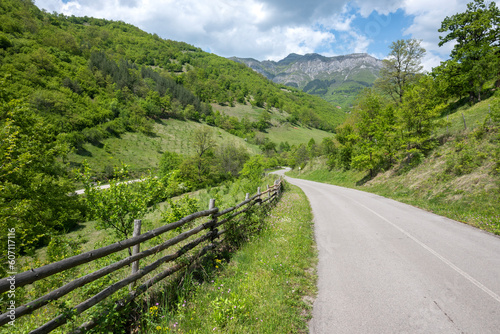 Fototapeta Naklejka Na Ścianę i Meble -  Iskar River Gorge near village of Ochindol, Bulgaria