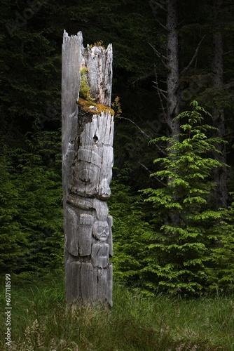 Totem pole in Haida Gwaii, British Columbia, Canada. World Heritage site.