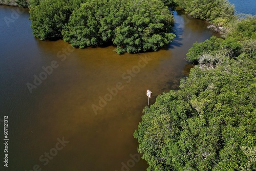 An Aerial Drone Photo of Florida Wetlands and coastal mangroves Tampa, Florida