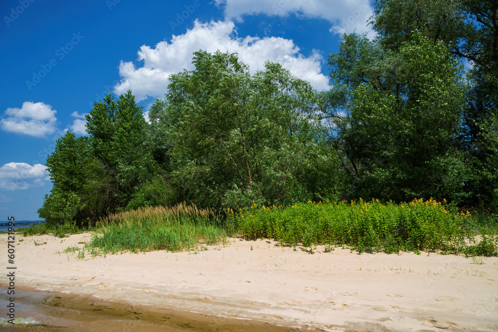serene oasis vibrant flora sandy island beach serene oasis vibrant flora sandy island beach