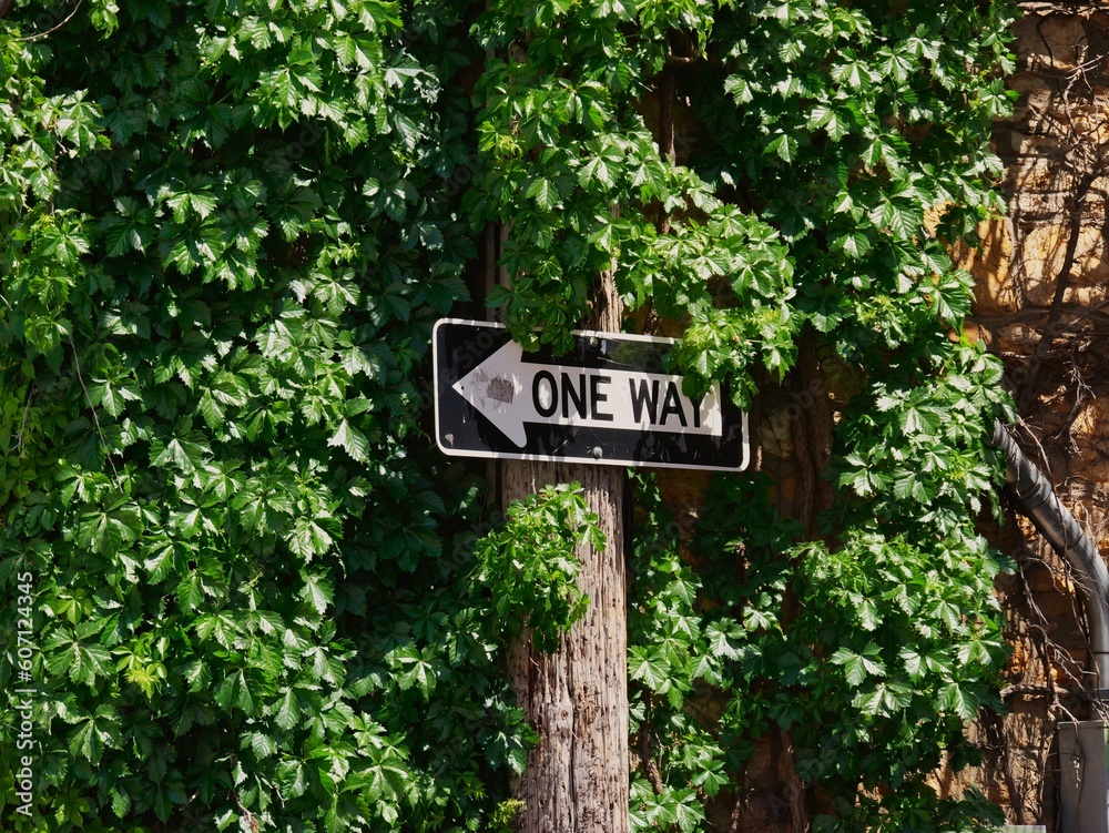 Lawrence Busker Festival - One Way Sign