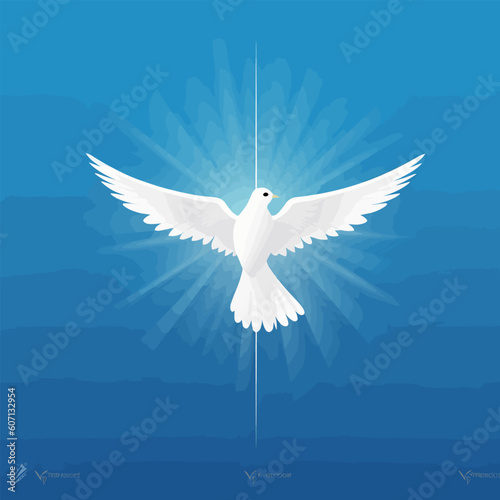Dove whit christian cross symbol vector illustration