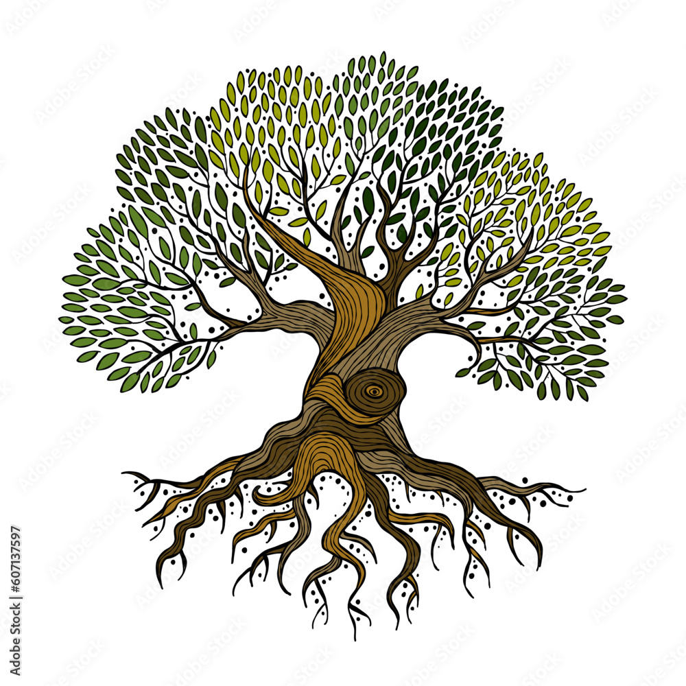 Old big family tree with roots isolated on white concept art for your