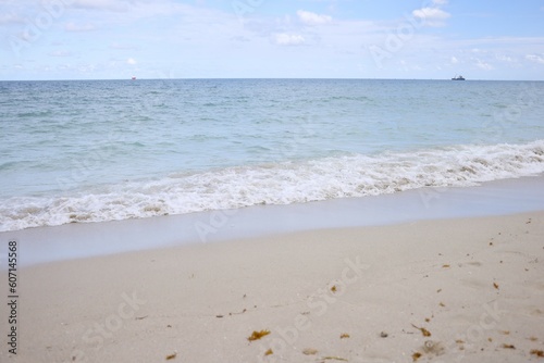 Fototapeta Naklejka Na Ścianę i Meble -  Miami Beach south sand  waves sea grass after tide