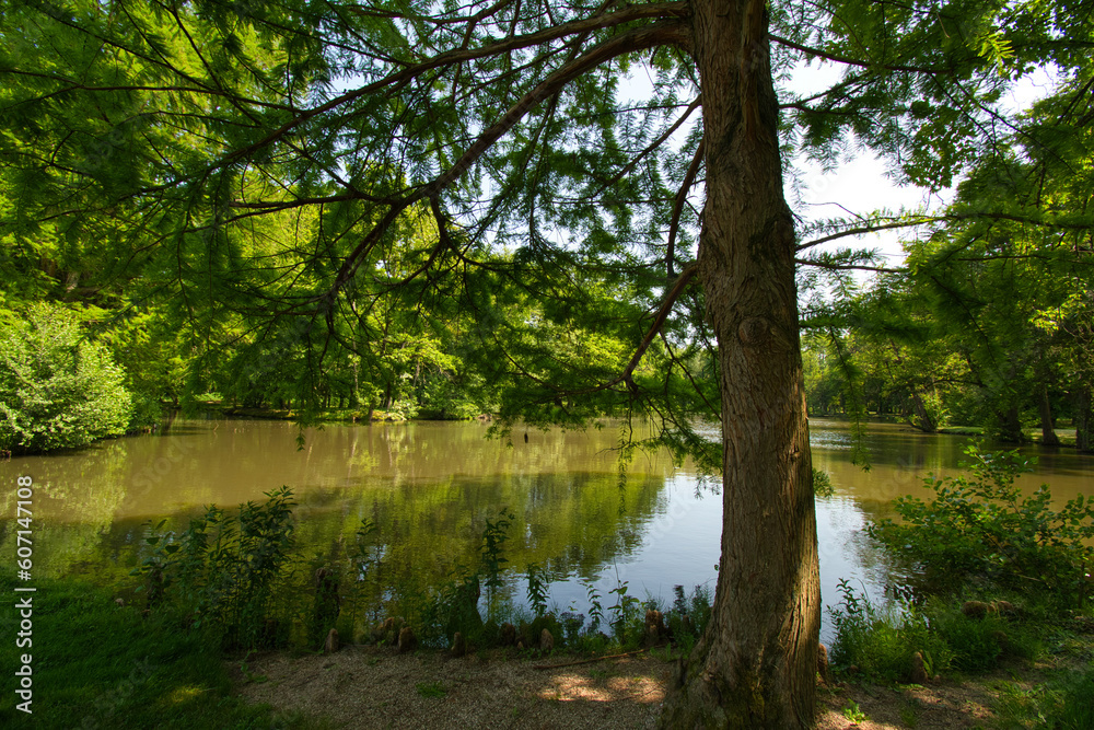 Fototapeta premium Park von Schoppenwihr bei Colmar im Elsass