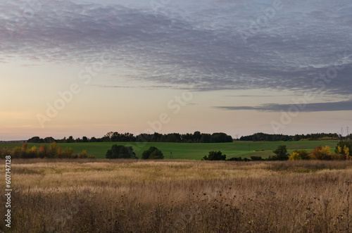 Morning Landscape: Green Field with a Blue Sky, Misty Haze Hovering above the Ground