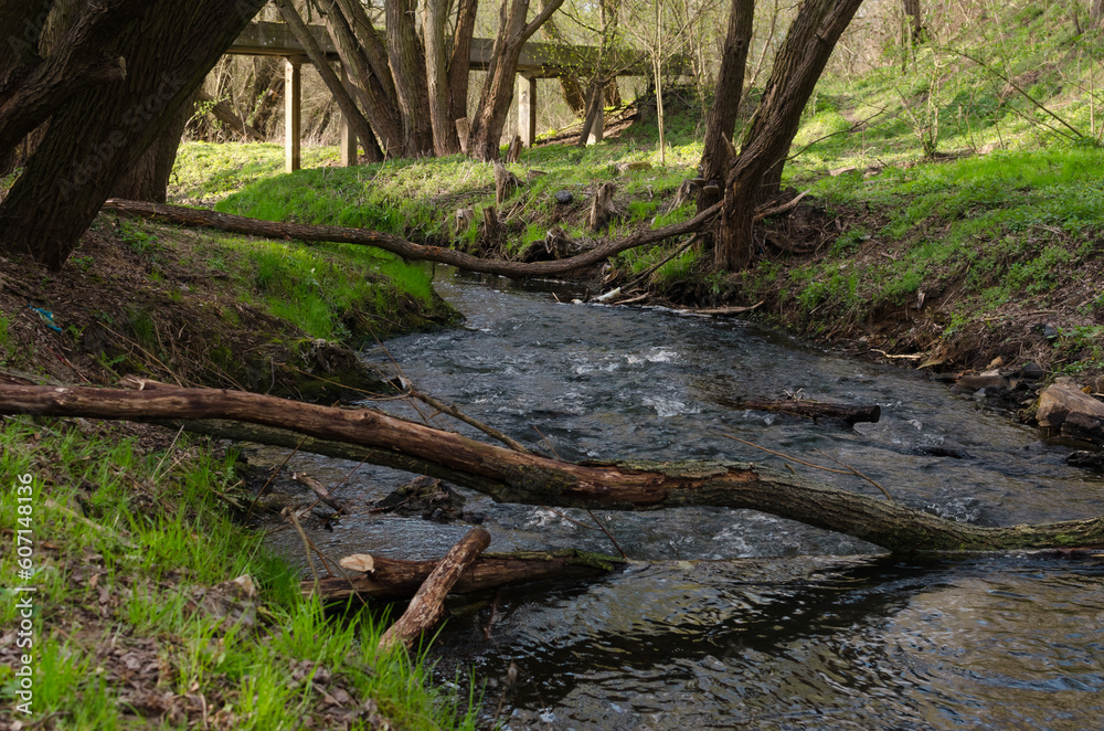 Urban Spring Serenity: A 3-Meter Wide Stream Meandering Through the City Urban Spring Serenity: A 3-Meter Wide Stream Meandering Through the City