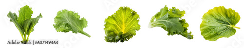 Set of mustard leaf (mustard leaves) isolated on transparent background 