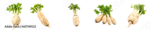 Set of parsnip isolated on transparent background © Awesomextra