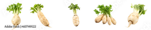 Photos Set of parsnip isolated on transparent background