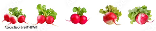 Set of radish isolated on transparent background	