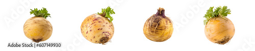 Foto Set of rutabaga isolated on transparent background