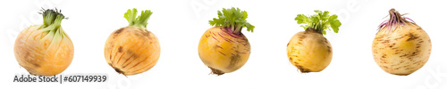 Set of rutabaga isolated on transparent background	