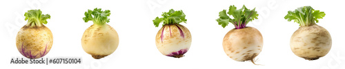 Set of Turnip isolated on transparent background	