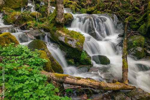 Scenic falling cascading stream at the foot of the famous waterfalls of Todtnau in the Black Forest of Germany