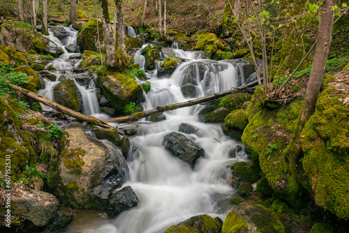 Scenic view of a cascading creek in a forest