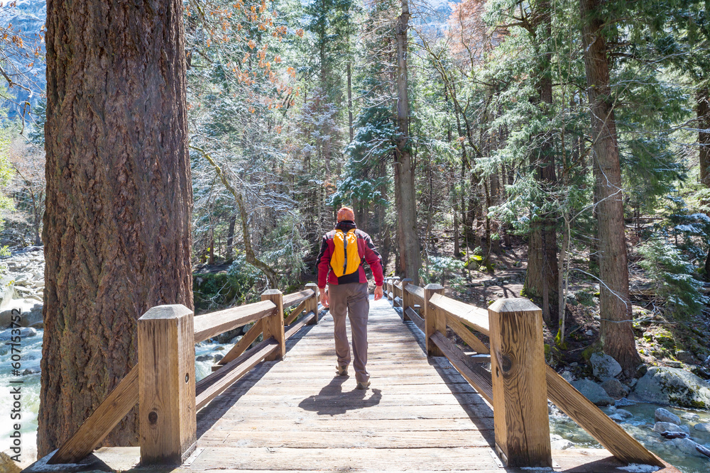 Bridge in hike Bridge in hike