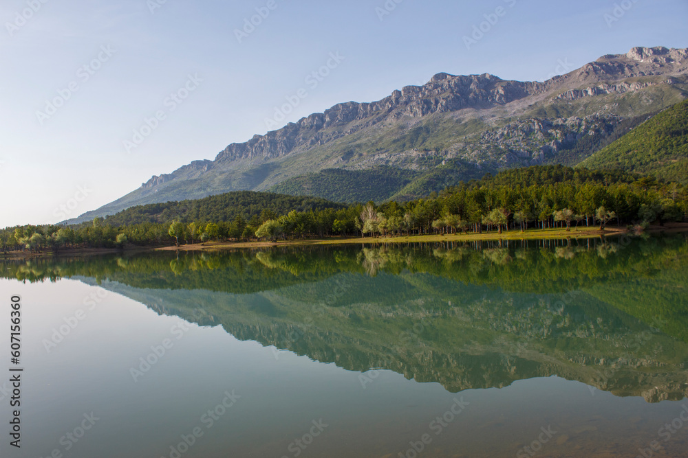 the reflection of mountains and forest trees in the water and creating wonderful landscapes the reflection of mountains and forest trees in the water and creating wonderful landscapes